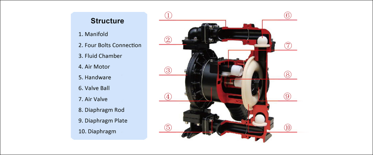 Structure Of Diaphragm Pump